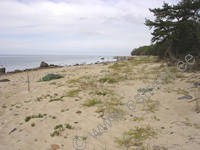M�kki Taurus - Hiiu T�ht &raquo; K�rgessaare &raquo; Hiidenmaa, Viro